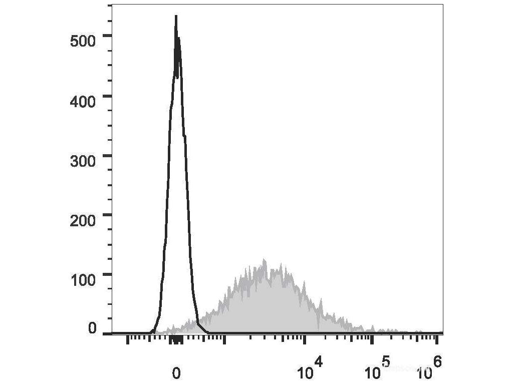 APC Anti-Mouse CD86 Antibody[GL-1], Biomarkers, Elabscience Biotechnology, MSE Supplies