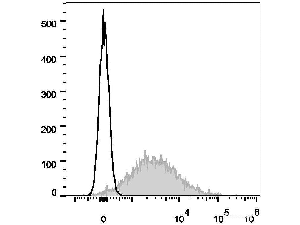 Elab Fluor® 647 Anti-Mouse CD86 Antibody[GL-1], Biomarkers, Elabscience Biotechnology, MSE Supplies