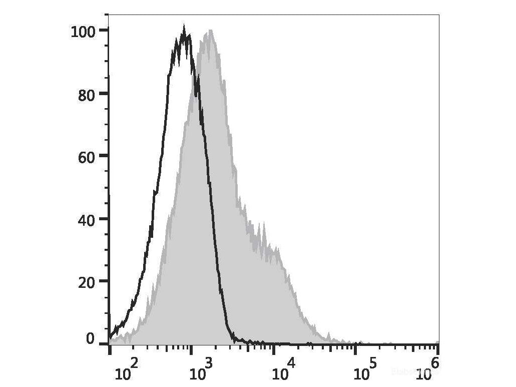 PE/Elab Fluor® 594 Anti-Mouse CD86 Antibody[GL-1], Biomarkers, Elabscience Biotechnology, MSE Supplies