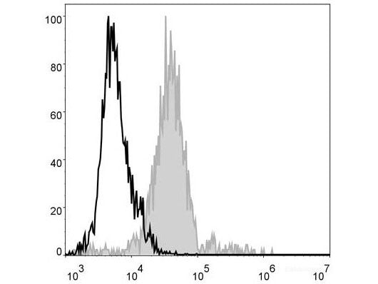 Elab Fluor® 488 Anti-Mouse F4/80 Antibody[CI:A3-1], Biomarkers, Elabscience Biotechnology, MSE Supplies