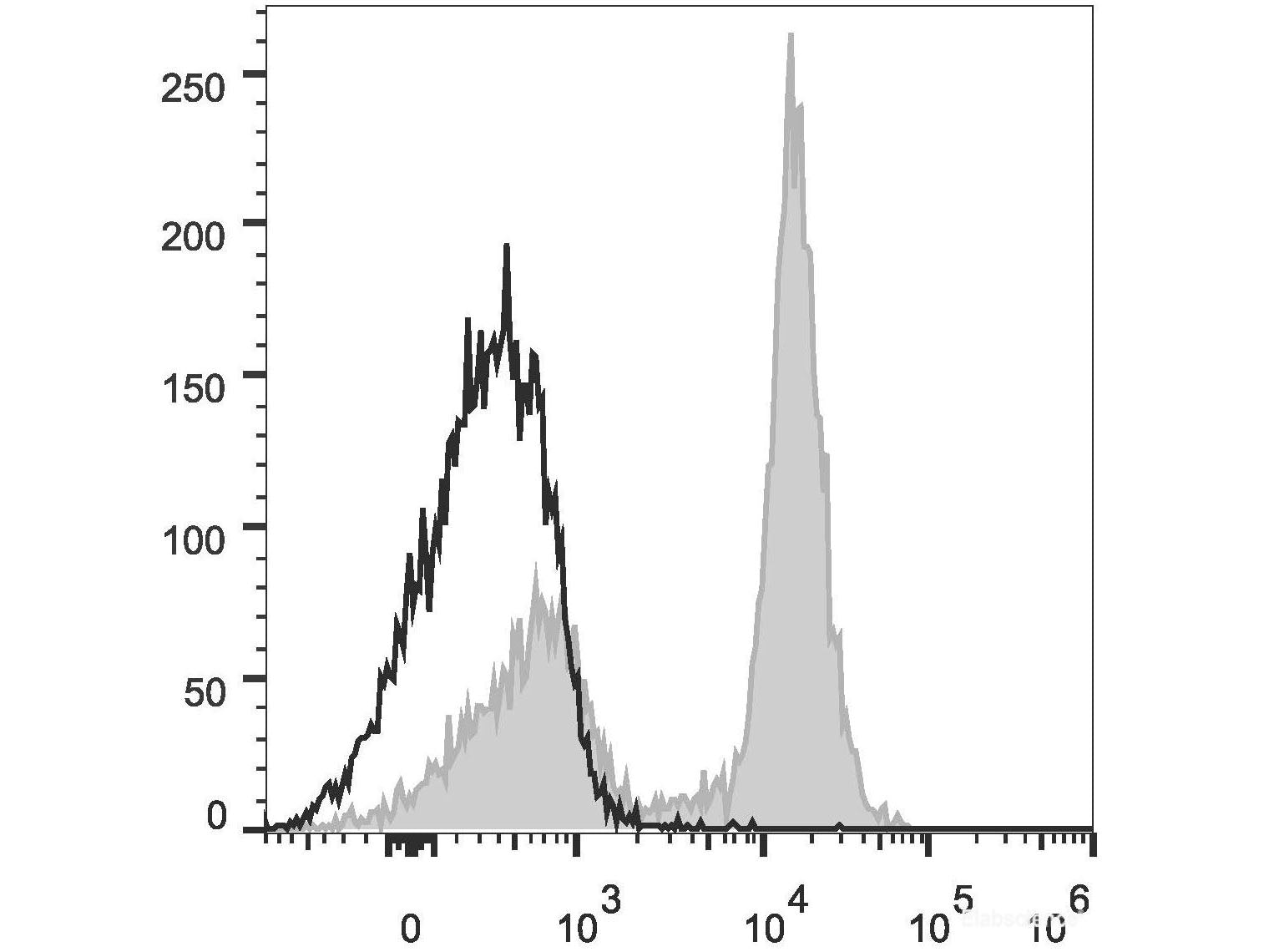PE Anti-Mouse CD16/32 Antibody[2.4G2], Biomarkers, Elabscience Biotechnology, MSE Supplies
