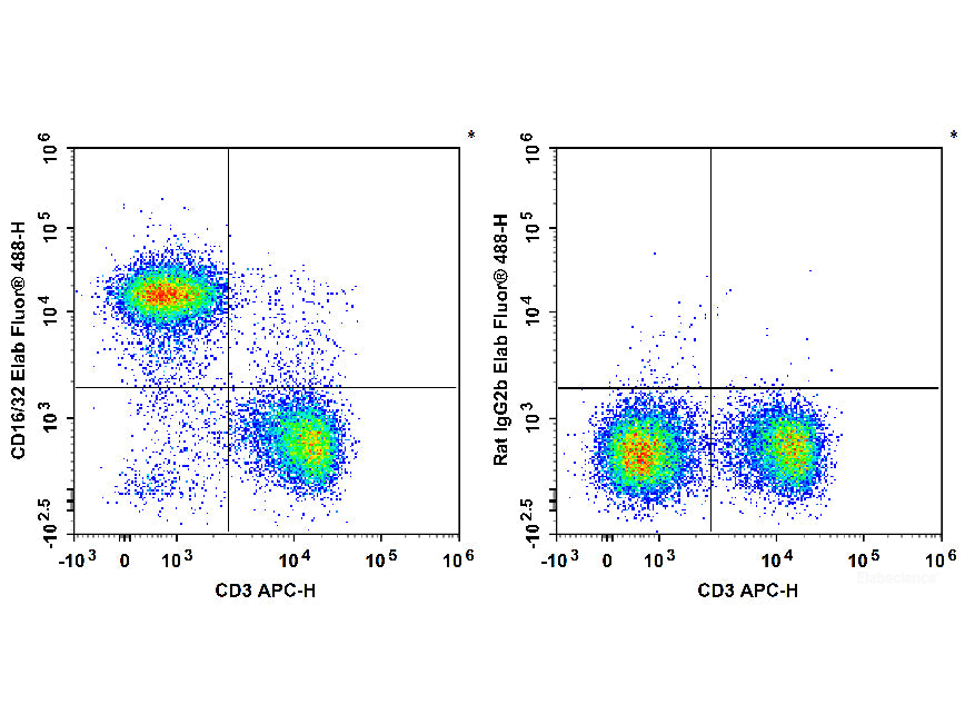 Elab Fluor® 488 Anti-Mouse CD16/32 Antibody[2.4G2], Biomarkers, Elabscience Biotechnology, MSE Supplies