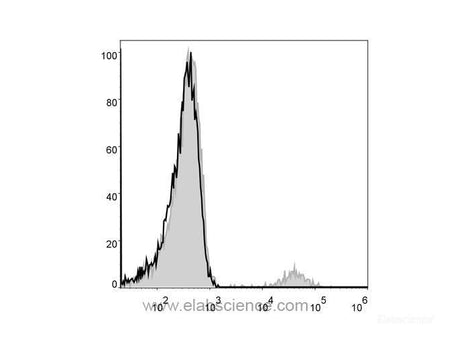 PE Anti-Human CD19 Antibody[CB19], Biomarkers, Elabscience Biotechnology, MSE Supplies