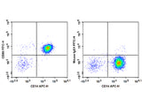 FITC Anti-Human CD86 Antibody[BU63], Biomarkers, Elabscience Biotechnology, MSE Supplies