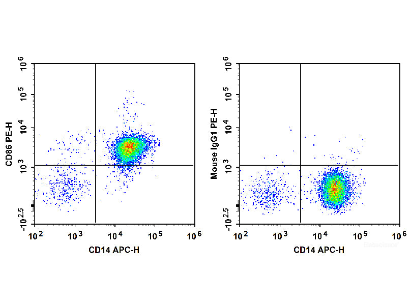 PE Anti-Human CD86 Antibody[BU63], Biomarkers, Elabscience Biotechnology, MSE Supplies
