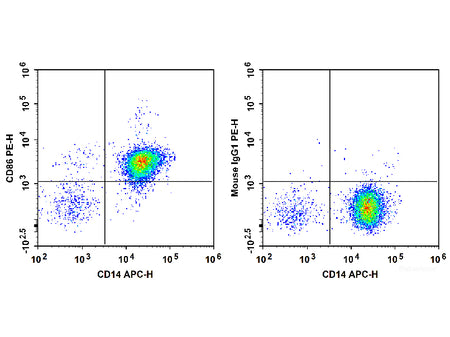PE Anti-Human CD86 Antibody[BU63], Biomarkers, Elabscience Biotechnology, MSE Supplies