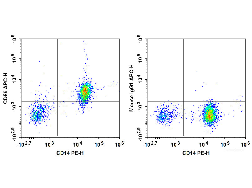 APC Anti-Human CD86 Antibody[BU63], Biomarkers, Elabscience Biotechnology, MSE Supplies