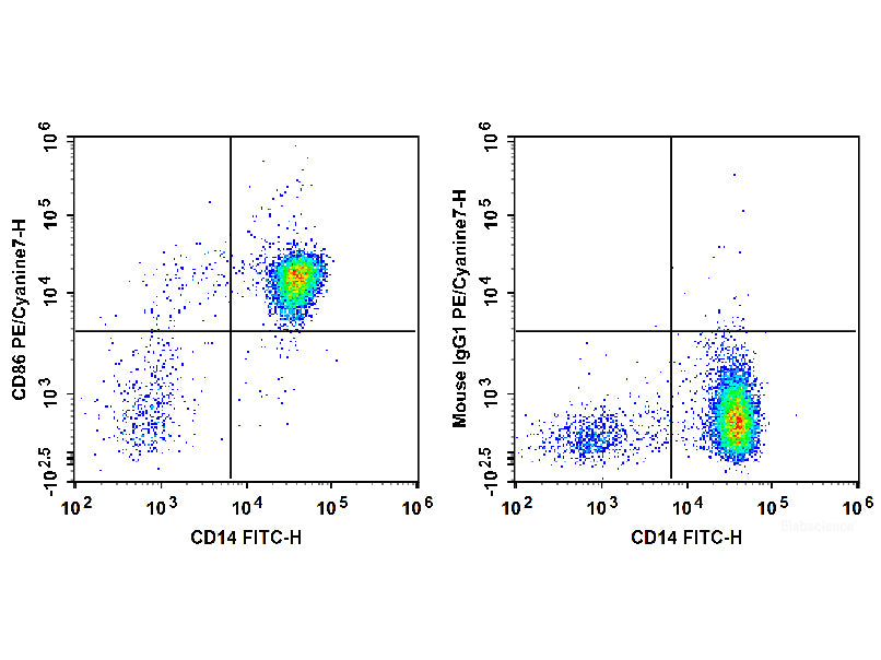 PE/Cyanine7 Anti-Human CD86 Antibody[BU63], Biomarkers, Elabscience Biotechnology, MSE Supplies