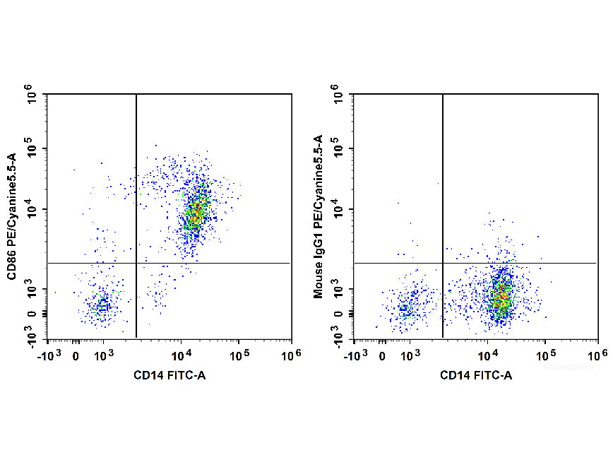 PE/Cyanine5.5 Anti-Human CD86 Antibody[BU63], Biomarkers, Elabscience Biotechnology, MSE Supplies
