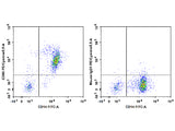 PE/Cyanine5.5 Anti-Human CD86 Antibody[BU63], Biomarkers, Elabscience Biotechnology, MSE Supplies