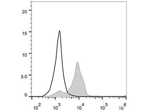 Elab Fluor® 488 Anti-Human CD86 Antibody[BU63], Biomarkers, Elabscience Biotechnology, MSE Supplies