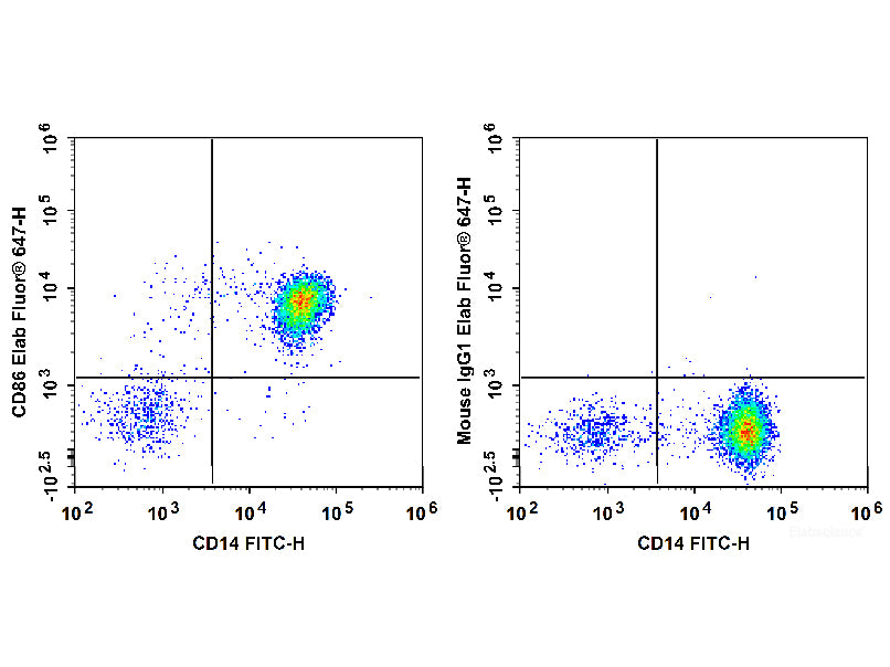 Elab Fluor® 647 Anti-Human CD86 Antibody[BU63], Biomarkers, Elabscience Biotechnology, MSE Supplies
