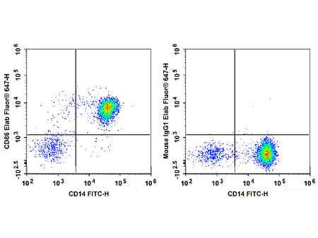 Elab Fluor® 647 Anti-Human CD86 Antibody[BU63], Biomarkers, Elabscience Biotechnology, MSE Supplies