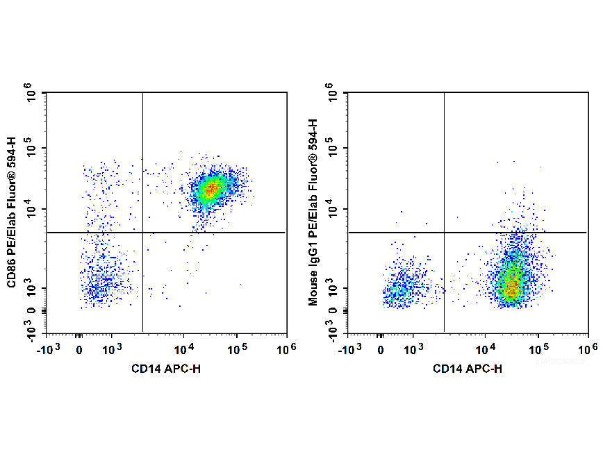 PE/Elab Fluor® 594 Anti-Human CD86 Antibody[BU63], Biomarkers, Elabscience Biotechnology, MSE Supplies