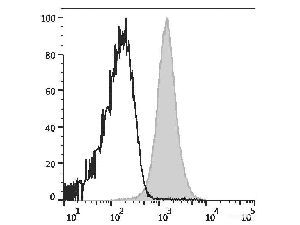 PerCP Anti-Mouse CD48 Antibody[HM48-1], Biomarkers, Elabscience Biotechnology, MSE Supplies