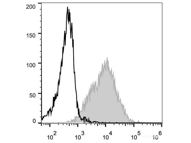 PE Anti-Mouse CD54 Antibody[YN1/1.7.4], Biomarkers, Elabscience Biotechnology, MSE Supplies