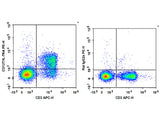 PE Anti-Mouse CD127/IL-7RA Antibody[A7R34], Biomarkers, Elabscience Biotechnology, MSE Supplies