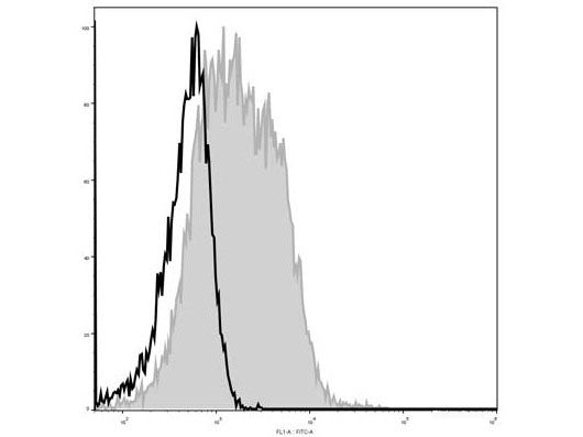Elab Fluor® 488 Anti-Mouse CD28 Antibody[37.51], Biomarkers, Elabscience Biotechnology, MSE Supplies