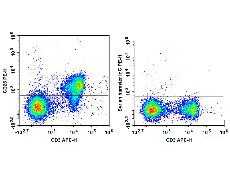 PE Anti-Mouse CD28 Antibody[37.51], Biomarkers, Elabscience Biotechnology, MSE Supplies