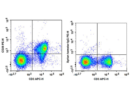 PE Anti-Mouse CD28 Antibody[37.51], Biomarkers, Elabscience Biotechnology, MSE Supplies