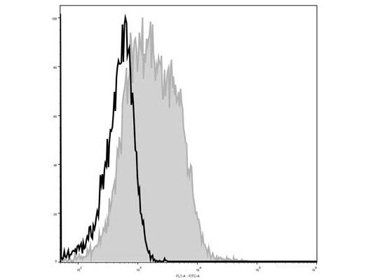 Elab Fluor® 488 Anti-Mouse CD28 Antibody[37.51], Biomarkers, Elabscience Biotechnology, MSE Supplies