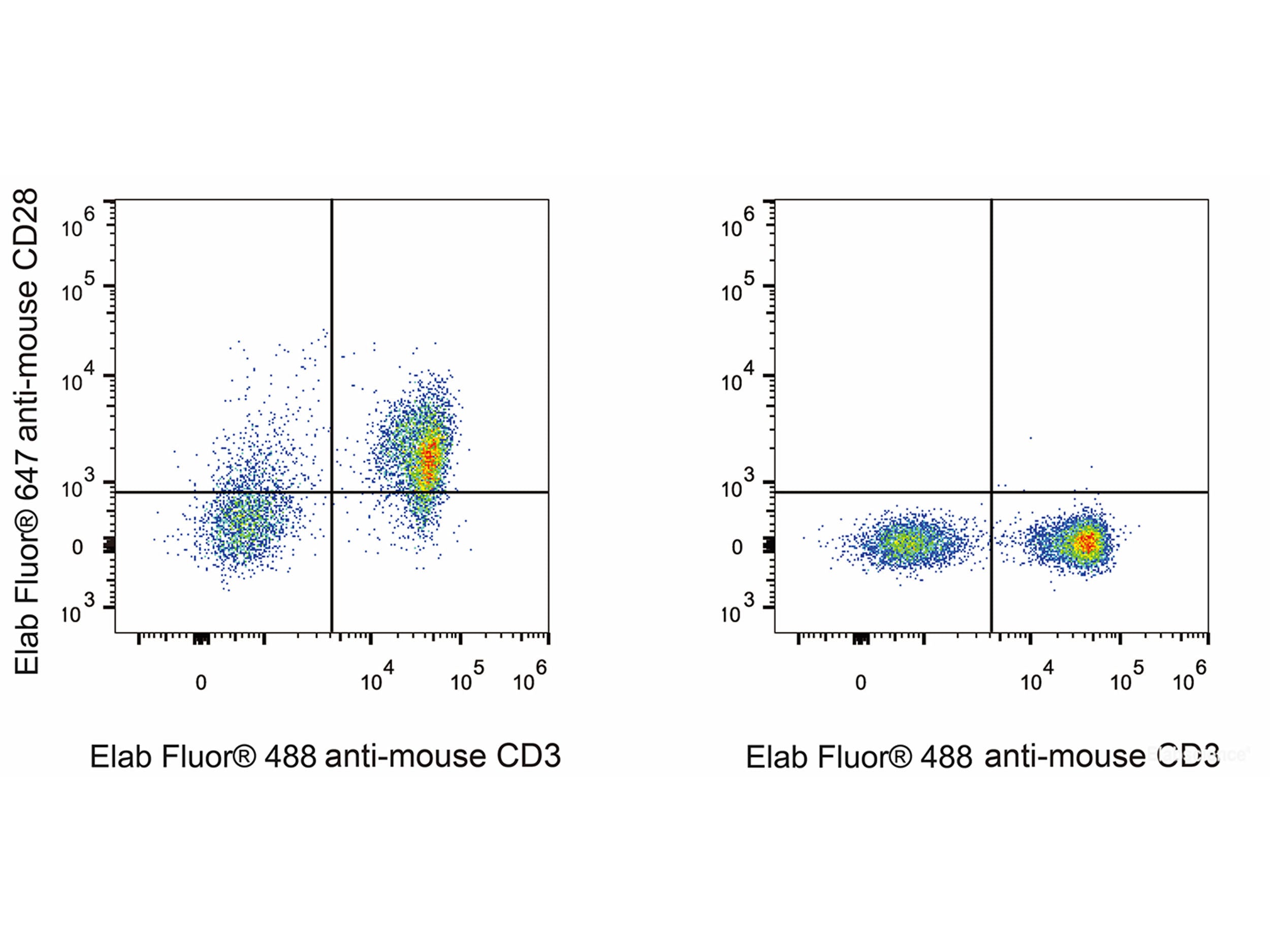 Elab Fluor® 647 Anti-Mouse CD28 Antibody[37.51], Biomarkers, Elabscience Biotechnology, MSE Supplies