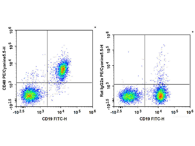 PE/Cyanine5.5 Anti-Mouse CD40 Antibody[FGK4.5/FGK45], Biomarkers, Elabscience Biotechnology, MSE Supplies