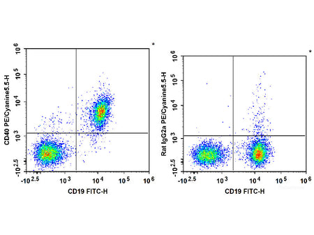 PE/Cyanine5.5 Anti-Mouse CD40 Antibody[FGK4.5/FGK45], Biomarkers, Elabscience Biotechnology, MSE Supplies