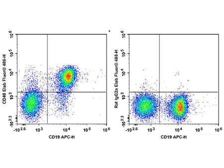 Elab Fluor® 488 Anti-Mouse CD40 Antibody[FGK4.5/FGK45], Biomarkers, Elabscience Biotechnology, MSE Supplies