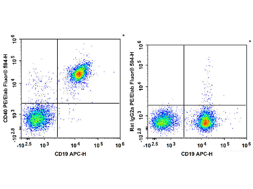 PE/Elab Fluor® 594 Anti-Mouse CD40 Antibody[FGK4.5/FGK45], Biomarkers, Elabscience Biotechnology, MSE Supplies
