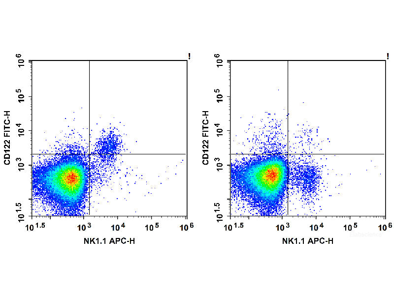 FITC Anti-Mouse CD122/IL-2RB Antibody[5H4], Biomarkers, Elabscience Biotechnology, MSE Supplies