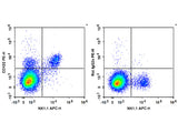 PE Anti-Mouse CD122/IL-2RB Antibody[5H4], Biomarkers, Elabscience Biotechnology, MSE Supplies