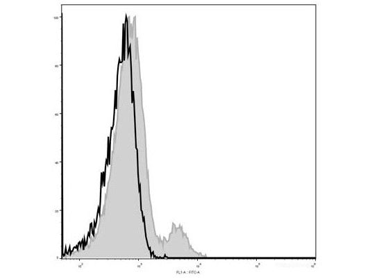 Elab Fluor® 488 Anti-Mouse CD122/IL-2RB Antibody[5H4], Biomarkers, Elabscience Biotechnology, MSE Supplies