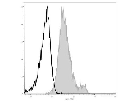 Elab Fluor® 488 Anti-Mouse CD1d Antibody[19G11], Biomarkers, Elabscience Biotechnology, MSE Supplies