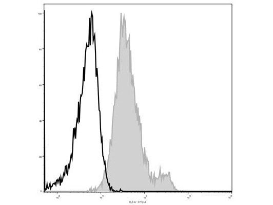 Elab Fluor® 488 Anti-Mouse CD1d Antibody[19G11], Biomarkers, Elabscience Biotechnology, MSE Supplies