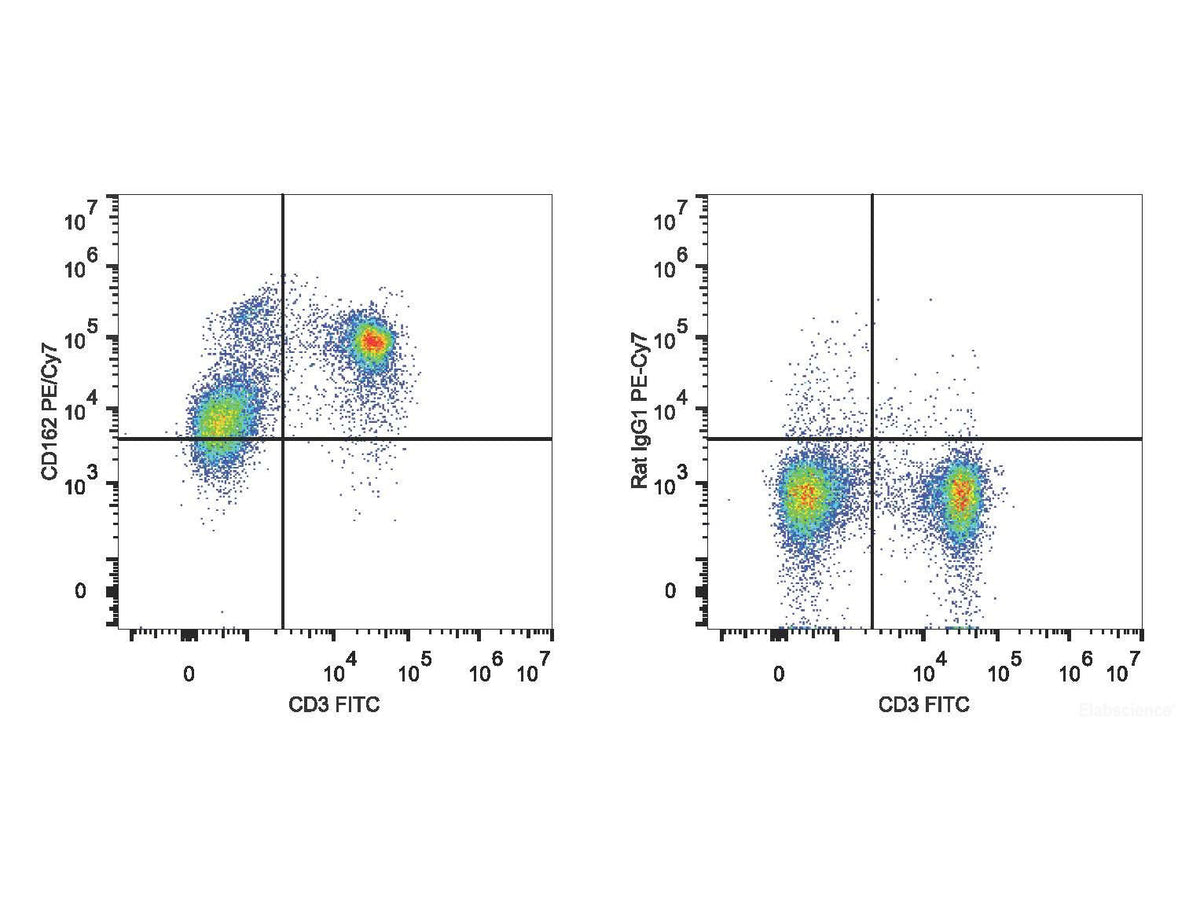 PE/Cyanine7 Anti-Mouse CD162 Antibody[4RA10], Biomarkers, Elabscience Biotechnology, MSE Supplies
