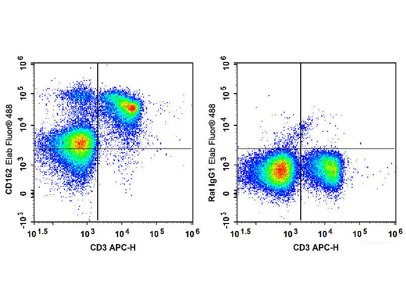 Elab Fluor® 488 Anti-Mouse CD162 Antibody[4RA10], Biomarkers, Elabscience Biotechnology, MSE Supplies
