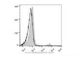 FITC Anti-Human CD20 Antibody[BCA/B20], Biomarkers, Elabscience Biotechnology, MSE Supplies