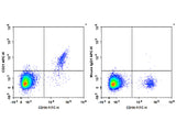 APC Anti-Human CD21 Antibody[BU32], Biomarkers, Elabscience Biotechnology, MSE Supplies