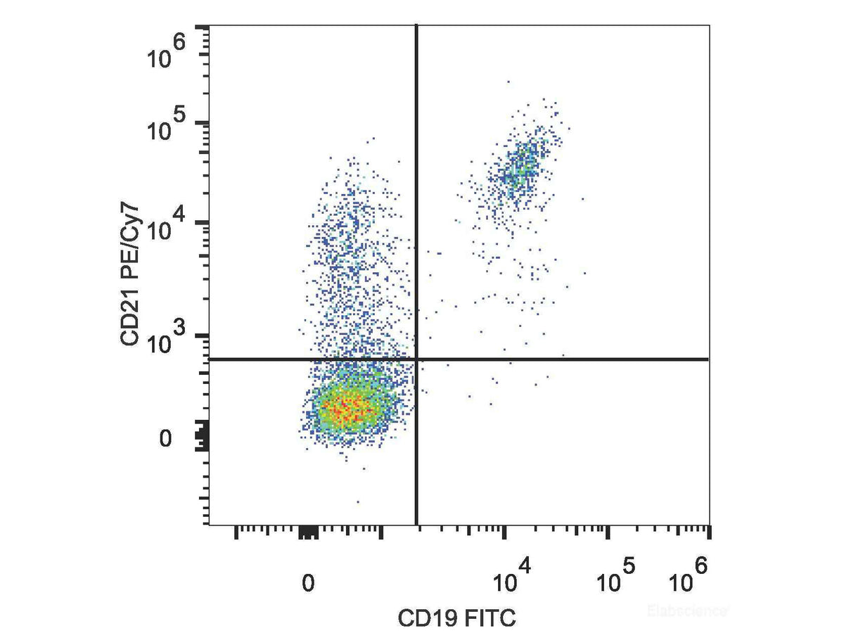 PE/Cyanine7 Anti-Human CD21 Antibody[BU32], Biomarkers, Elabscience Biotechnology, MSE Supplies