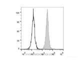 Elab Fluor® 488 Anti-Human CD31 Antibody[158-2B3], Biomarkers, Elabscience Biotechnology, MSE Supplies