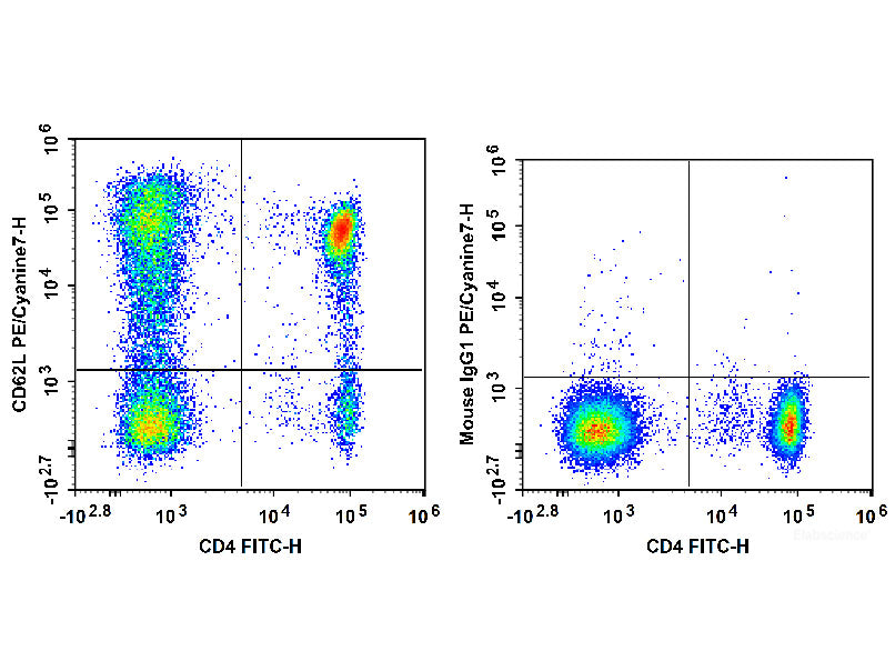 PE/Cyanine7 Anti-Human CD62L Antibody[DREG56] - MSE Supplies LLC