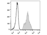 Elab Fluor® 488 Anti-Human CD11a Antibody[TS1/22.1.1.13] - MSE Supplies LLC