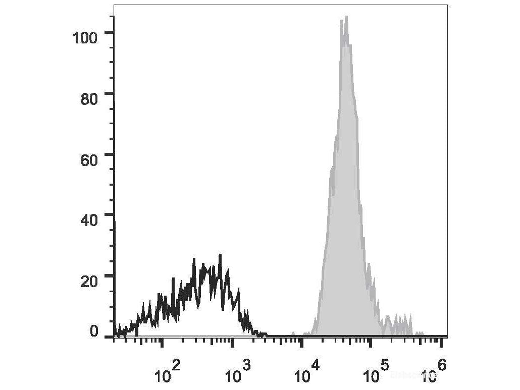 Elab Fluor® 647 Anti-Human CD147 Antibody[HIM6] - MSE Supplies LLC