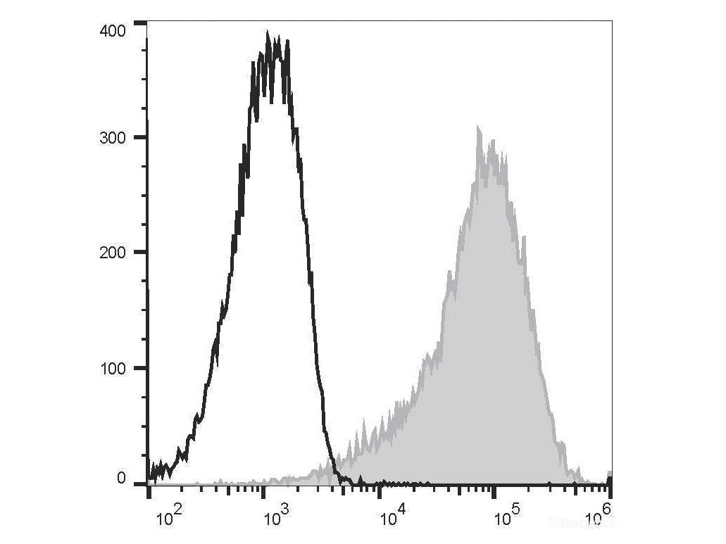 PE/Elab Fluor® 594 Anti-Human CD47 Antibody[CC2C6D4] - MSE Supplies LLC