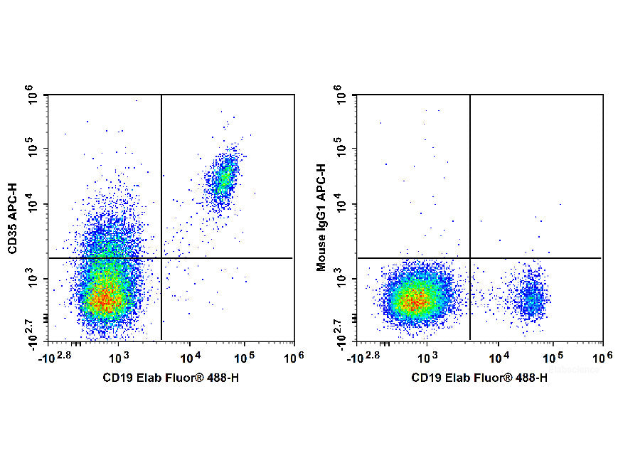 APC Anti-Human CD35 Antibody[E11] - MSE Supplies LLC