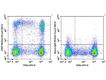 PE/Elab Fluor® 594 Anti-Human CD57 Antibody[HNK-1] - MSE Supplies LLC