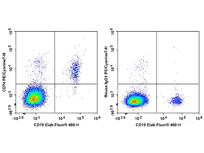 PE/Cyanine7 Anti-Human CD74 Antibody[LN2] - MSE Supplies LLC