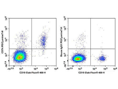 PE/Cyanine7 Anti-Human CD74 Antibody[LN2] - MSE Supplies LLC