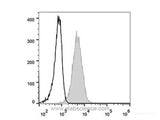 Elab Fluor® 488 Anti-Human CD81 Antibody[1.3.3.22] - MSE Supplies LLC